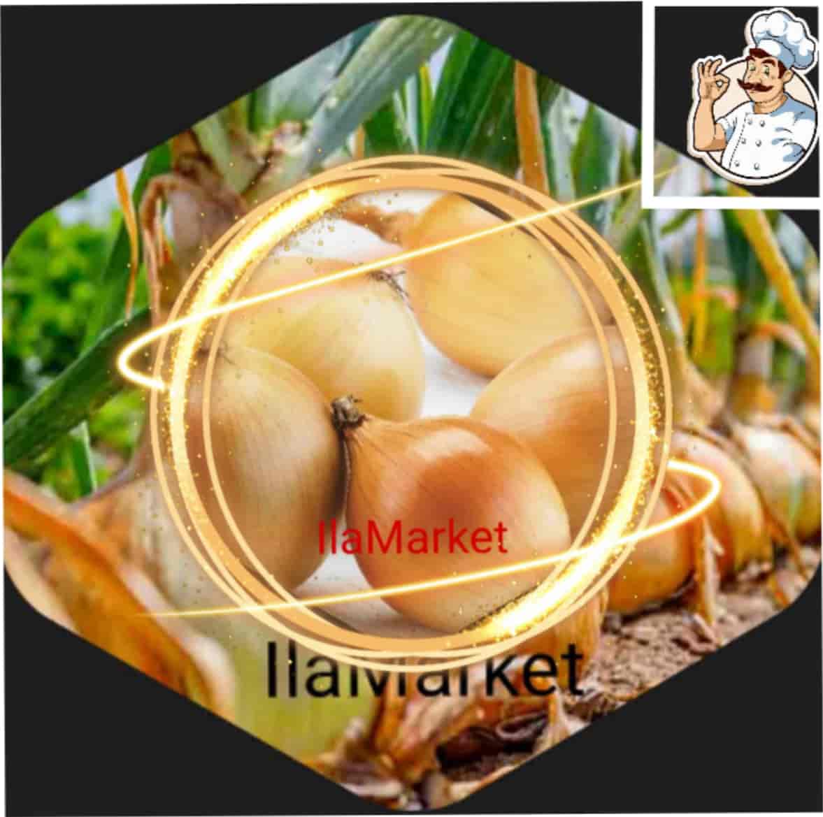 قیمت قیمت پیاز زرد در تره بار + خرید آنلاین